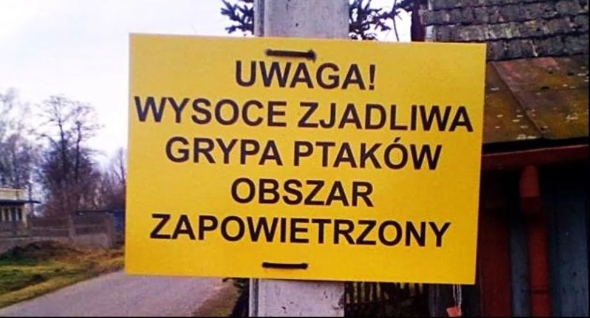 Wasze sprawy, Powiatowy lekarz weterynarii Łowiczu apeluje urzędników hodowców drobiu - zdjęcie, fotografia