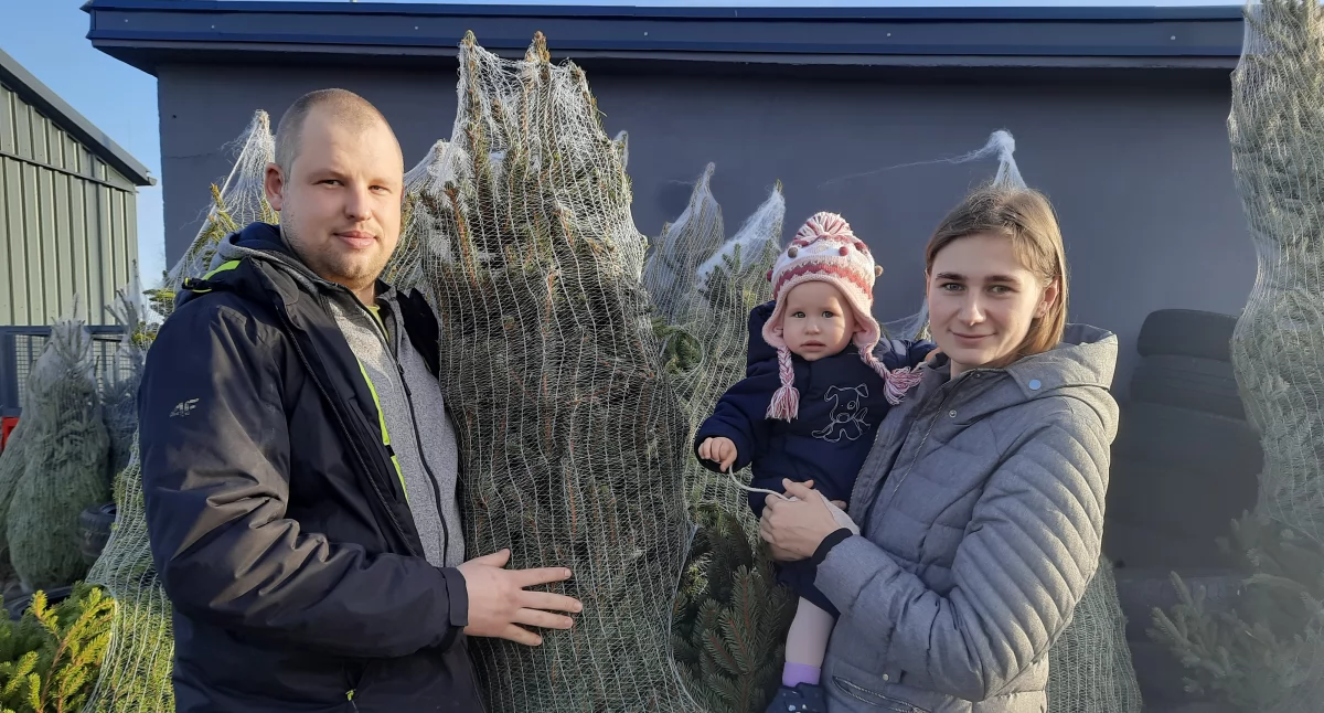 Urząd Gminy, Nieborów Akcja „Choinka makulaturę” (foto) - zdjęcie, fotografia