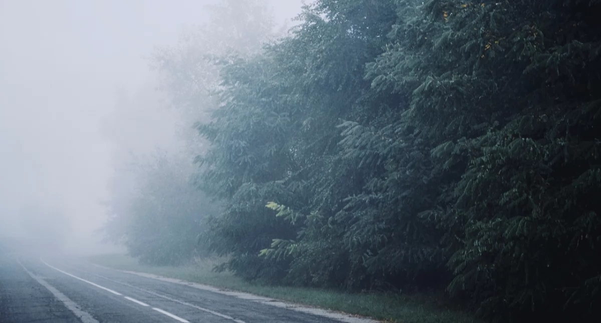 Alerty pogodowe, Gęste mgły naszym regionie ostrzega - zdjęcie, fotografia