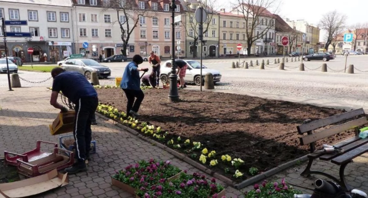 Urząd Miejski, Przetarg rozstrzygnięty Ponad pół miliona utrzymanie miejskiej zieleni - zdjęcie, fotografia