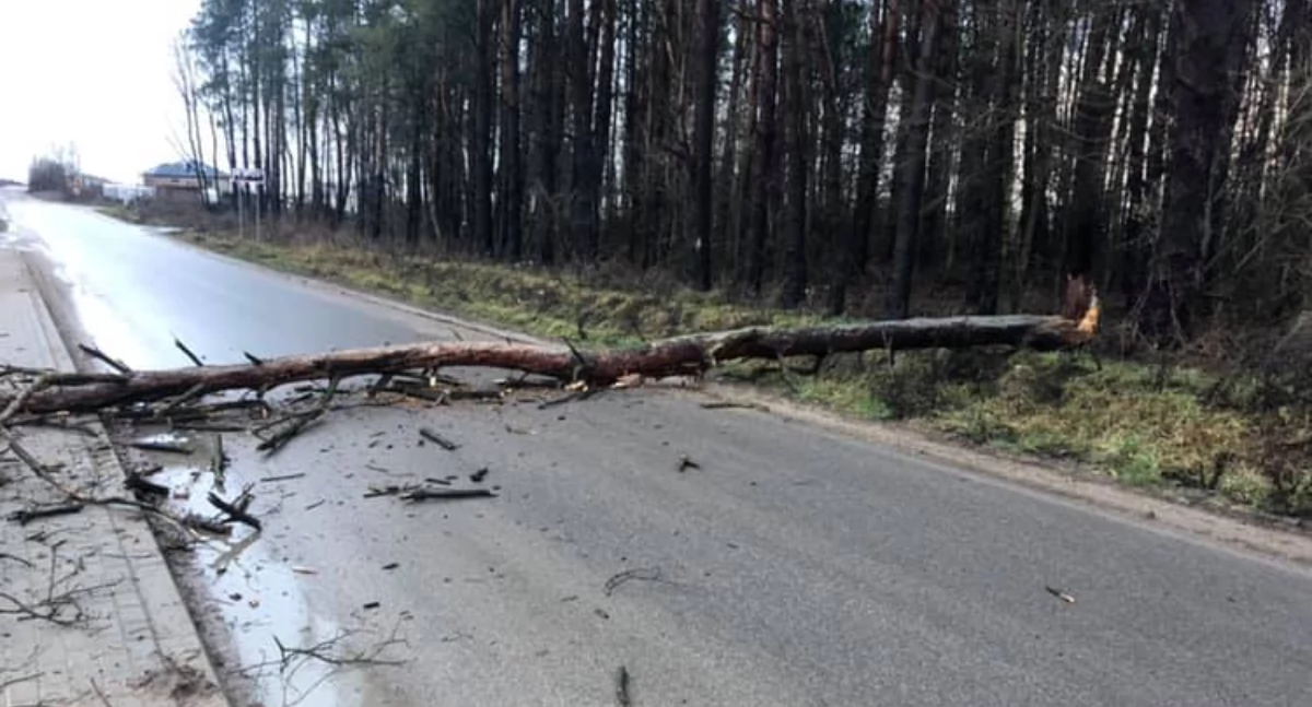 Foto poglądowe