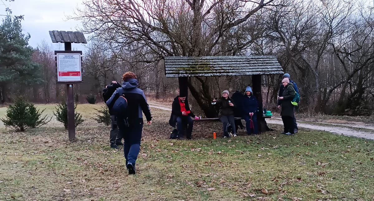 Turystyka i rekreacja, Noworoczny spacer Puszczy Kampinoskiej (foto) - zdjęcie, fotografia