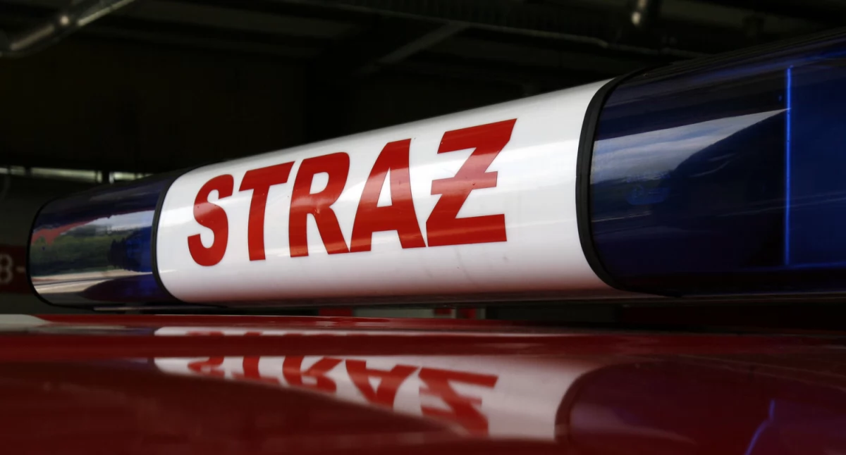Straż pożarna, Wiatr znów znaki nocne interwencje strażaków powiecie łowickim - zdjęcie, fotografia