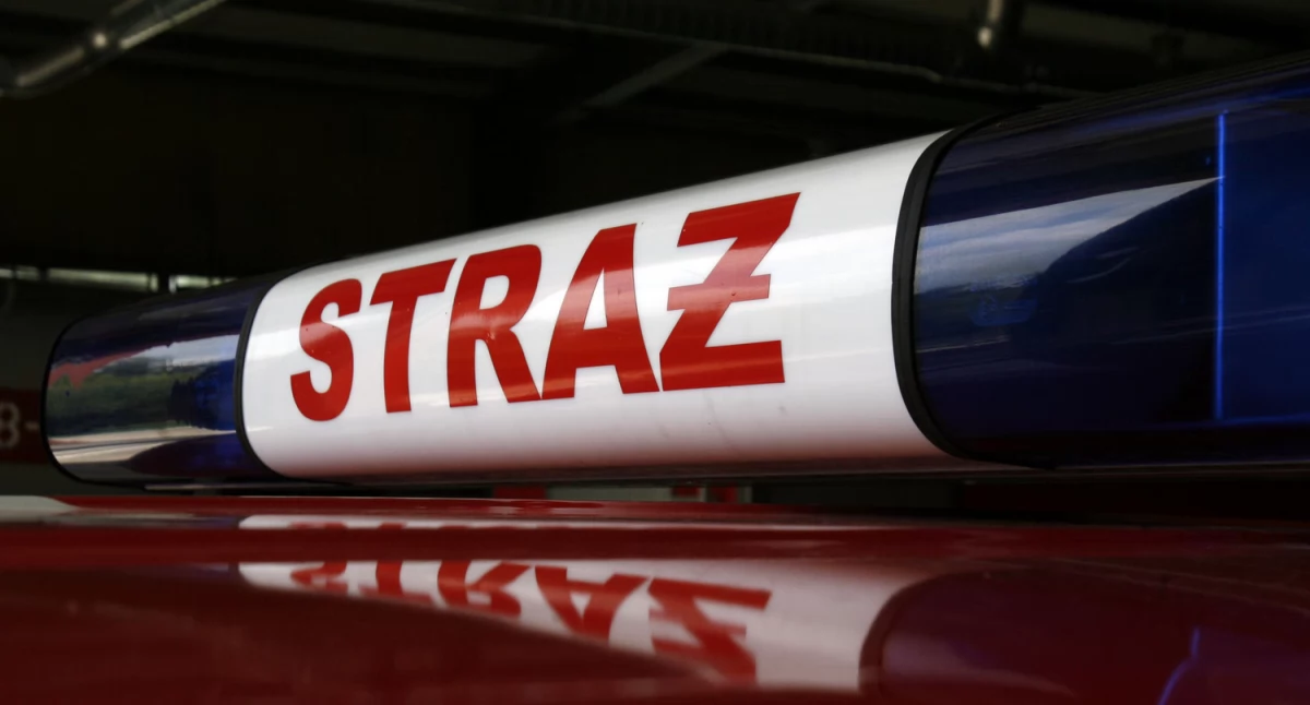 Straż pożarna, Łowicz Poranna interwencja straży pożarnej drodze krajowej - zdjęcie, fotografia