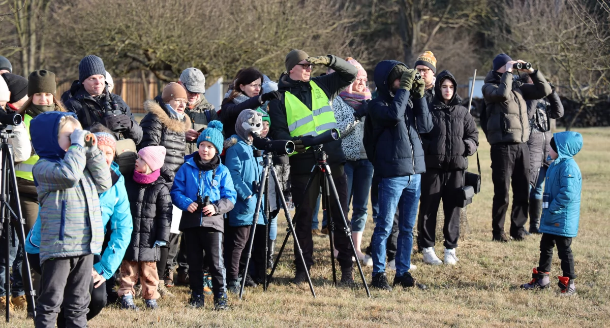 Ciekawostki, Zimowe ptakoliczenie Nieborowie (foto) - zdjęcie, fotografia