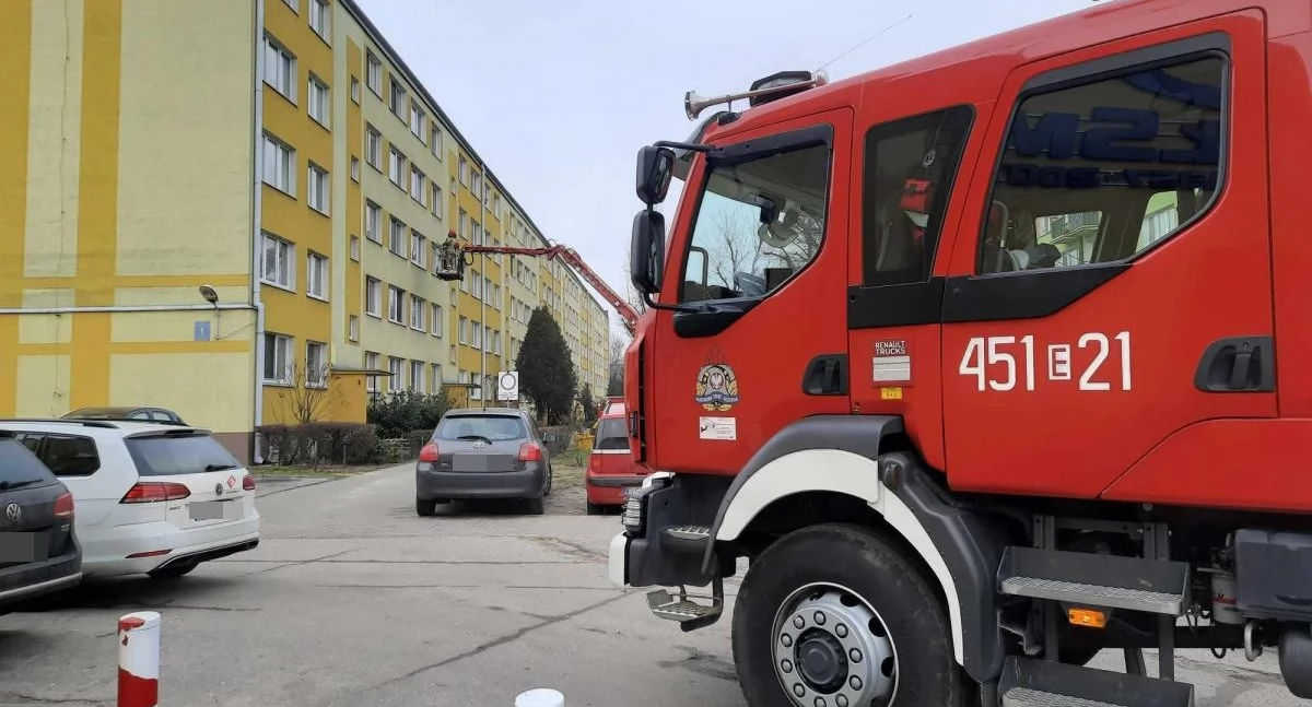 Straż pożarna, Pracownicy zaalarmowali straż Tragiczne zakończenie interwencji (foto film) - zdjęcie, fotografia