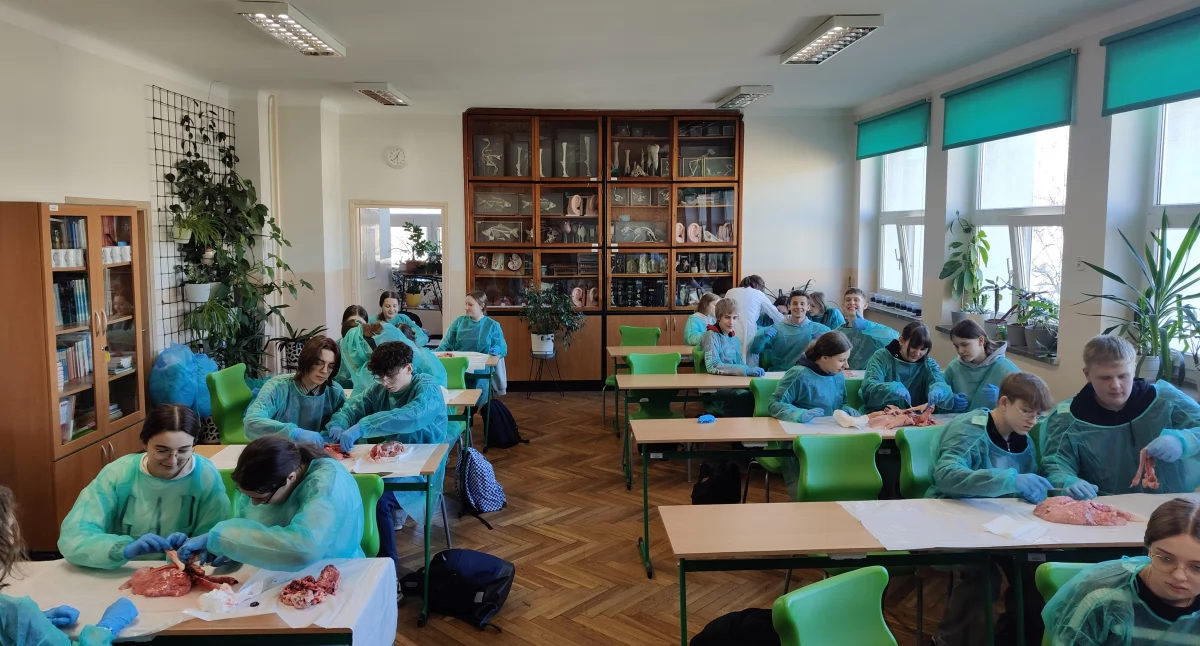 Szkoły, Warsztaty biologiczne (foto) - zdjęcie, fotografia