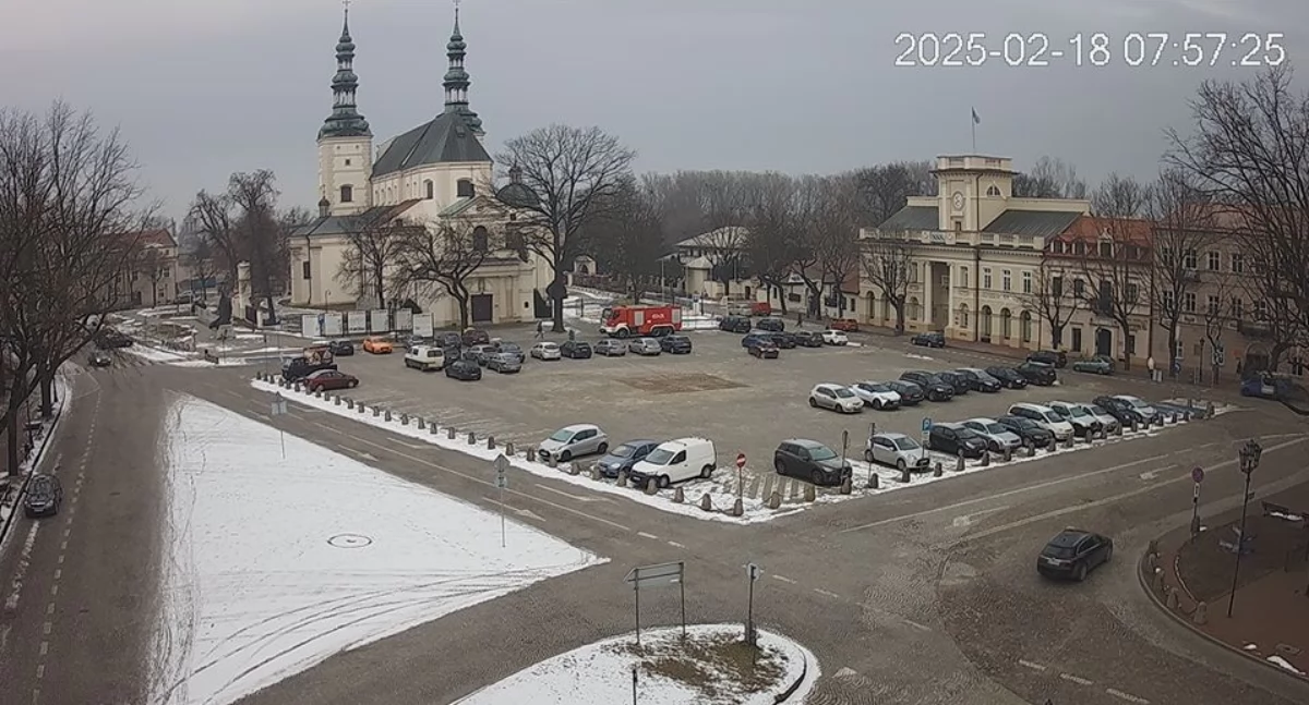 Straż pożarna, Łowicz Strażacy ponownie wezwani katedry - zdjęcie, fotografia