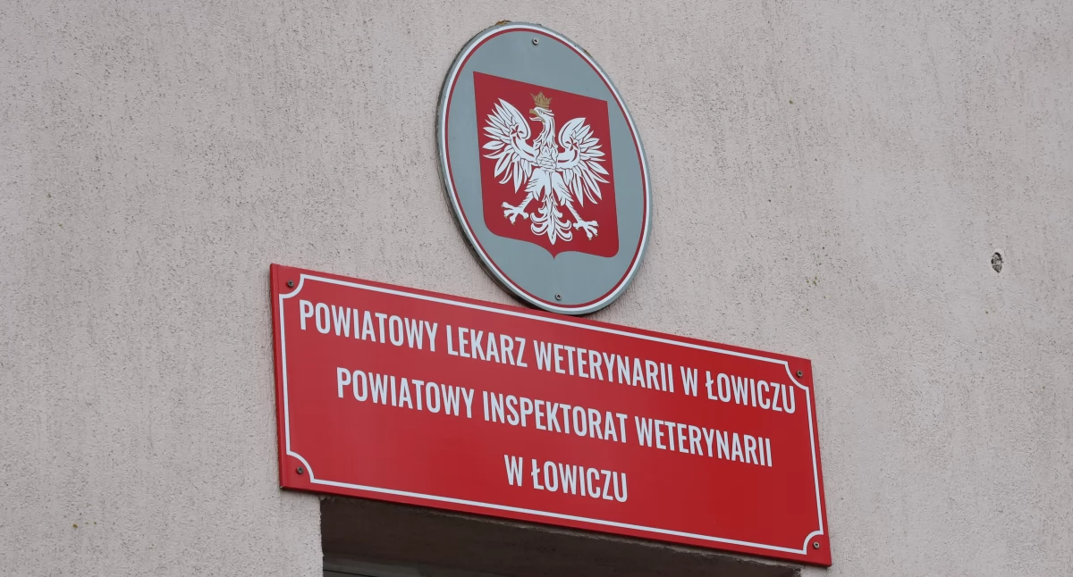 Wasze sprawy, Ptasia grypa coraz bliżej powiatu łowickiego Ostrzeżenie hodowców drobiu - zdjęcie, fotografia