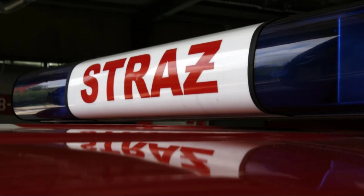 Straż pożarna, Strażacy wsparli psychicznie latkę - zdjęcie, fotografia