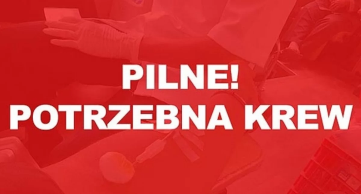 Akcje charytatywne, PILNIE potrzebna Maćka Fudały! - zdjęcie, fotografia