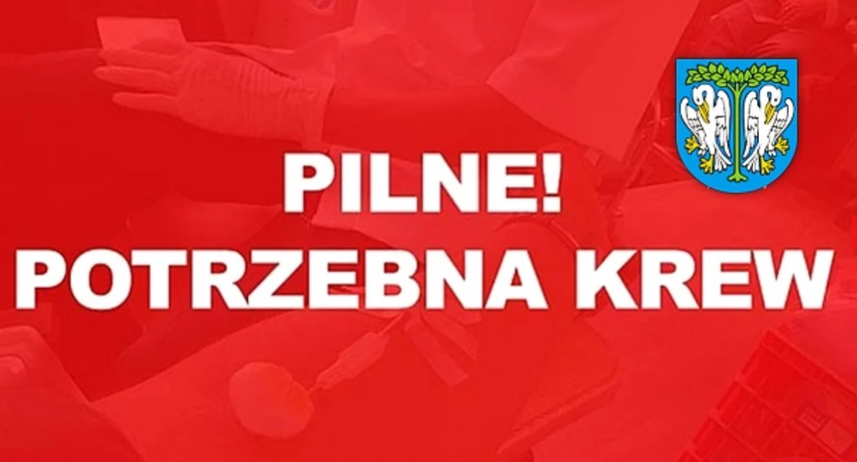 Akcje charytatywne, Łowicz jednoczy siły! Jutro zbiórka letniego Macieja - zdjęcie, fotografia