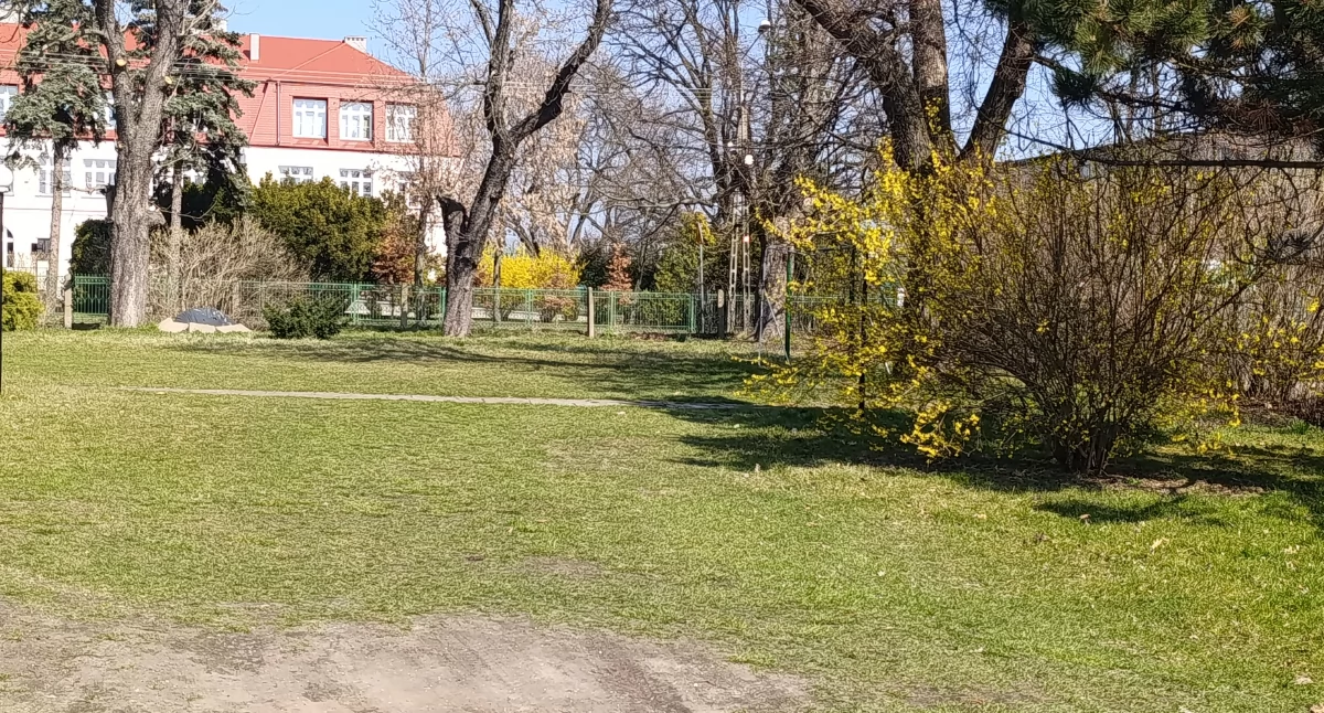 Starostwo Powiatowe, Działka Łowiczu sprzedaż Decyzja Powiatu zapadła - zdjęcie, fotografia