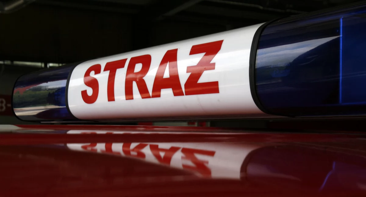 Straż pożarna, Powalone drzewa uszkodzone dachy Kilkanaście interwencji strażaków powiecie łowickim - zdjęcie, fotografia