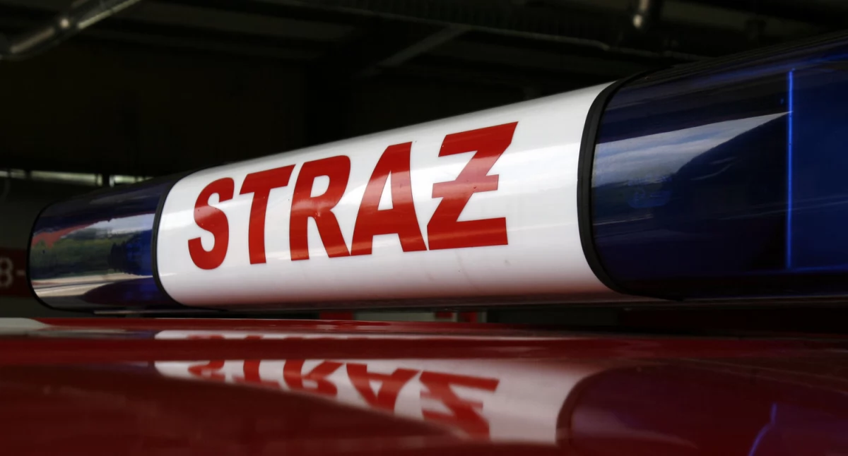 Straż pożarna, Pożary lasów zanieczyszczona jezdnia pochylone drzewo Interwencje strażaków powiecie łowickim - zdjęcie, fotografia