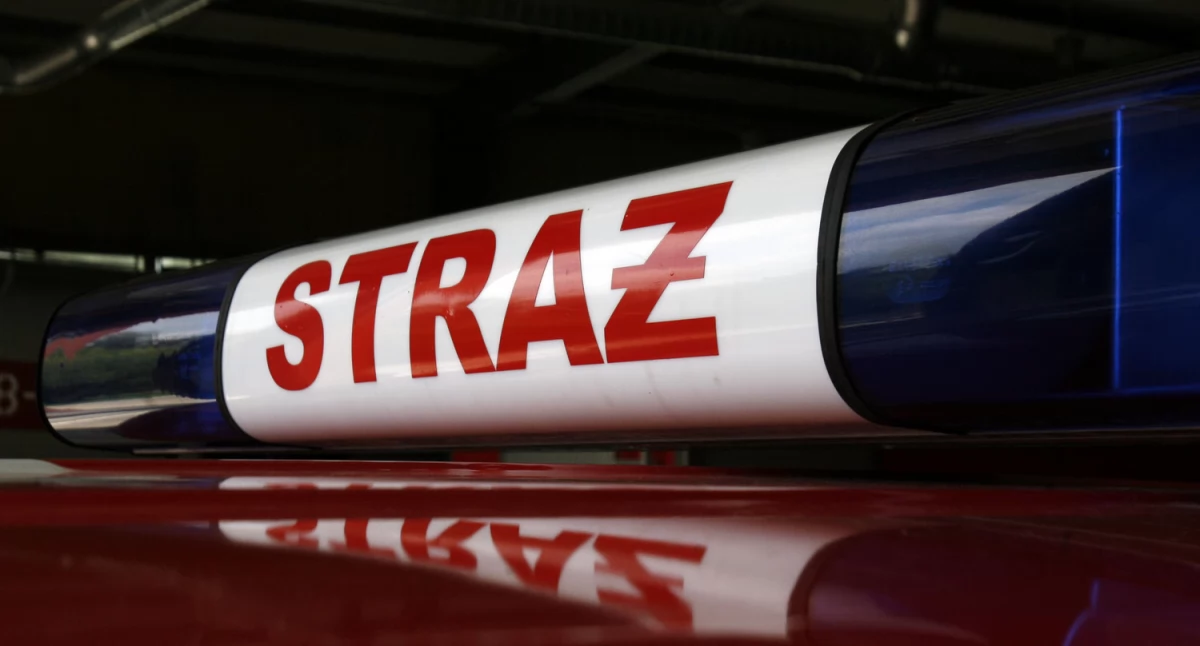 Straż pożarna, Pożar sadzy Nieborowie jednostki straży akcji - zdjęcie, fotografia