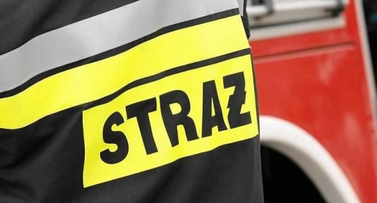 Straż pożarna, Pożar śmieci krzaków ulicy Krótkiej Łowiczu - zdjęcie, fotografia