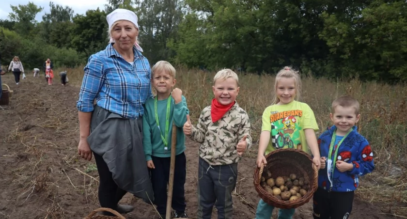 Młócenie zboża, wykopki ziemniaków - w Maurzycach dziś żegnają lato (foto, film)