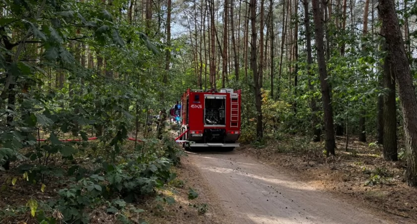 Foto poglądowe