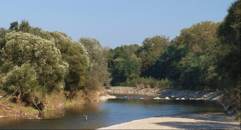 Zdjęcie przedstawia plażę, która podobnie jak miejska plaża w Łowiczu zlokalizowana jest nad rzeką.