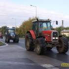 zdjęcie nr 14