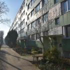 zdjęcie nr 