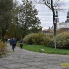 zdjęcie nr 84