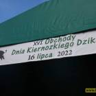 zdjęcie nr 105