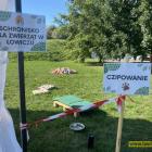 zdjęcie nr 