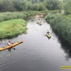 zdjęcie nr 30