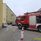 Fotka nr 2 z 5