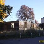 Fotka nr 2 z 12