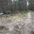 Fotka nr 1 z 7