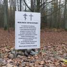 zdjęcie nr 30