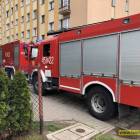 Fotka nr 2 z 4