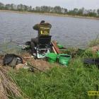 Fotka nr 2 z 27