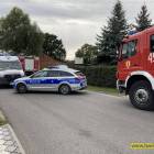 Fotka nr 5 z 7