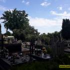 zdjęcie nr 32