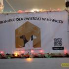 zdjęcie nr 54