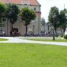 zdjęcie nr 31