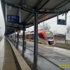 zdjęcie nr 8