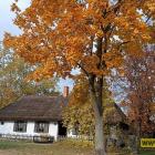 zdjęcie nr 34