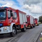 Fotka nr 4 z 10