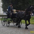 zdjęcie nr 14