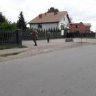 zdjęcie nr 8
