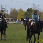 zdjęcie nr 85