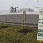 zdjęcie nr 14