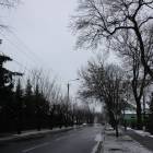 zdjęcie nr 9