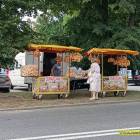 zdjęcie nr 113