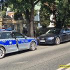 Fotka nr 1 z 2